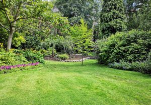 Optimiser l'expérience du jardin à Brive-la-Gaillarde